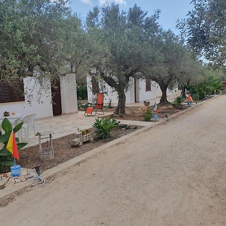 Gasthaus Agrisicilia Marinella di Selinunte Zimmer foto